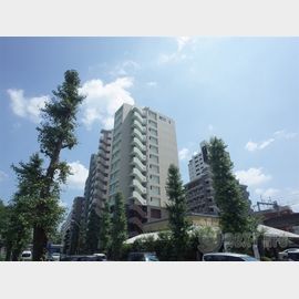 ノアズアーク 11階 築11年1ヶ月の賃貸物件