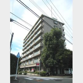 中山駅より徒歩4分 5階 築37年8ヶ月の賃貸物件