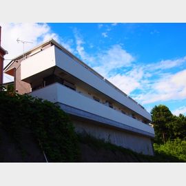 Ballond’Or中山 1階 築8年8ヶ月の賃貸物件