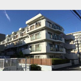 綱島駅より徒歩14分 4階 築39年6ヶ月の賃貸物件