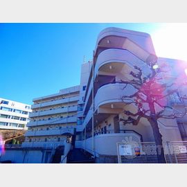 サンライズ梶ヶ谷206. 1階 築37年11ヶ月の賃貸物件