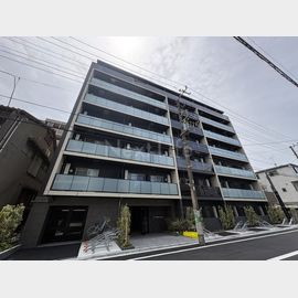 山手駅より徒歩12分 7階 新築の賃貸物件