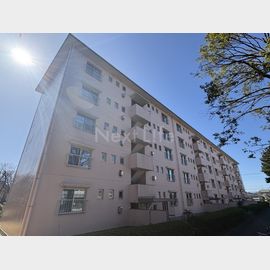 立川柏町団地１４号棟 2階 築55年の賃貸物件