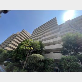パークシティ本牧Ａ棟 7階 築39年2ヶ月の賃貸物件