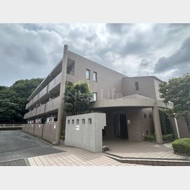 ラフィーネ港北 2階 築31年3ヶ月の賃貸物件