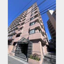 パレドール伊勢佐木町南 9階 築35年2ヶ月の賃貸物件