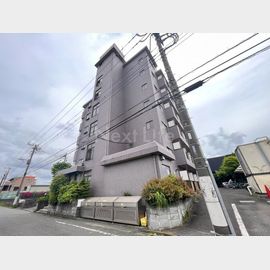 ロイヤルハイツ堀之内 6階 築31年9ヶ月の賃貸物件