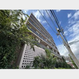 ラフィネジュ横浜南の賃貸物件