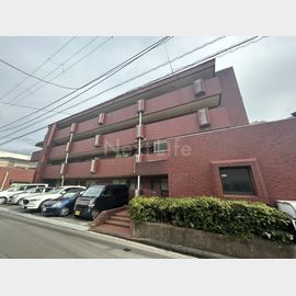 サンパレス綱島 4階 築44年1ヶ月の賃貸物件