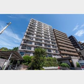 メゾンドエトレーヌ 10階 築37年6ヶ月の賃貸物件