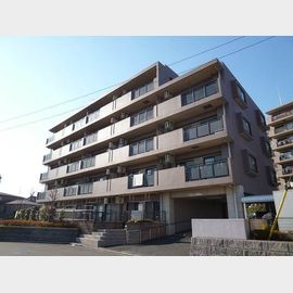 サンライズ中和田 5階 築23年8ヶ月の賃貸物件