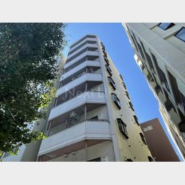 パークアベニュー東府中 5階 築41年5ヶ月の賃貸物件