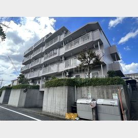 メゾン118 3階 築36年8ヶ月の賃貸物件