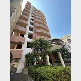 カールトンプラザ川崎 9階 築27年4ヶ月の賃貸物件