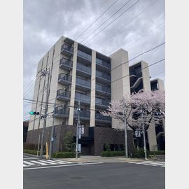 ローレルコート国立の賃貸物件