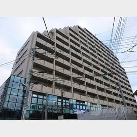 国領駅より徒歩2分 8階 築40年の賃貸物件