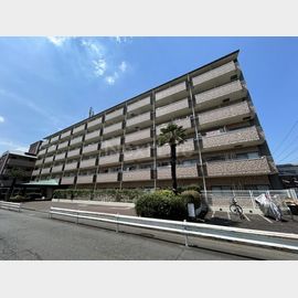 日神パレステージ玉川上水 1階 築35年5ヶ月の賃貸物件
