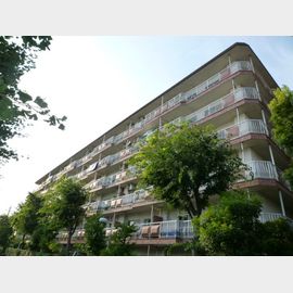 布田駅より徒歩14分 築44年6ヶ月 12階建の賃貸物件