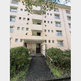 立川柏町団地１４号棟 5階 築54年6ヶ月の賃貸物件