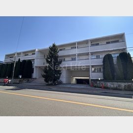 ラナイグレース国立の賃貸物件