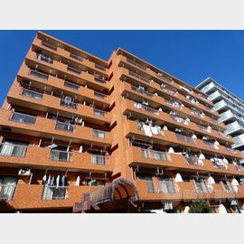 ライオンズマンション平沼第３ 4階 築43年8ヶ月の賃貸物件