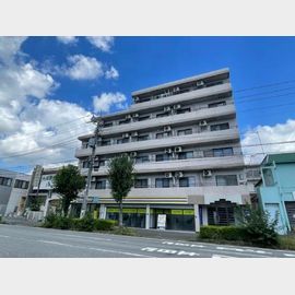 ジュネパレス柏第29 4階 築38年2ヶ月の賃貸物件
