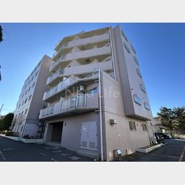 柏駅より徒歩7分 5階 築36年6ヶ月の賃貸物件