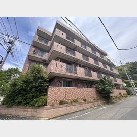 サザンストリーム 3階 築19年3ヶ月の賃貸物件