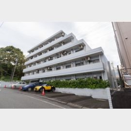 リエス高尾 3階 築33年6ヶ月の賃貸物件