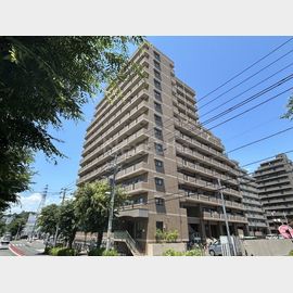 稲城駅より徒歩3分 8階 築19年10ヶ月の賃貸物件