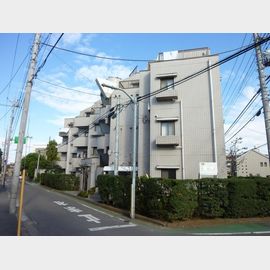 シャトレ・メイプルの賃貸物件