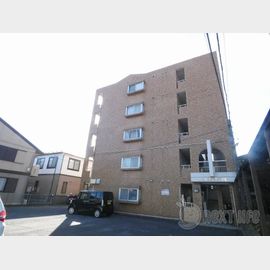 シャングリラコスモの賃貸物件