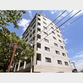 相模原駅より徒歩11分 8階 築36年1ヶ月の賃貸物件