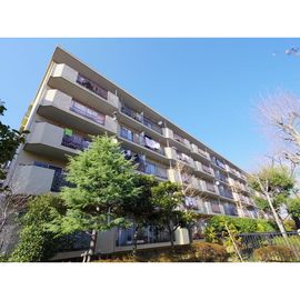 宮前平駅より徒歩7分 5階 築47年2ヶ月の賃貸物件