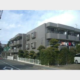 梶が谷駅より徒歩15分 1階 築31年10ヶ月の賃貸物件