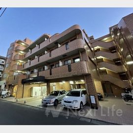 ダイアパレスステープラザ武蔵新城ション 2階 築33年4ヶ月の賃貸物件