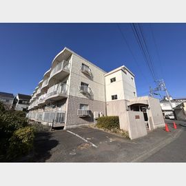 アイランドビレッジ 3階 築38年10ヶ月の賃貸物件