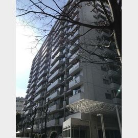 サンスクエア川崎５号棟 11階 築40年2ヶ月の賃貸物件