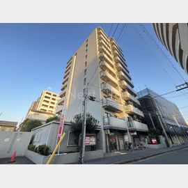 ナイスアーバンスピリッツ生麦 2階 築35年5ヶ月の賃貸物件