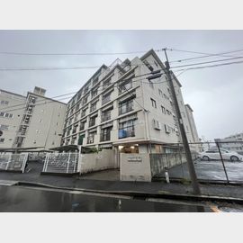 日吉本町駅より徒歩8分 5階 築59年の賃貸物件