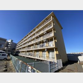 豊ロイヤルマンション 4階 築47年2ヶ月の賃貸物件