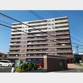 さがみ野駅より徒歩25分 10階 築12年1ヶ月の賃貸物件