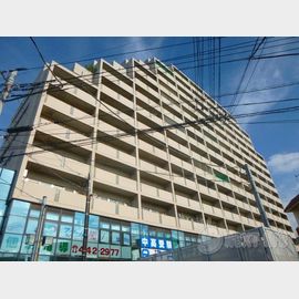 国領駅より徒歩2分 9階 築40年の賃貸物件