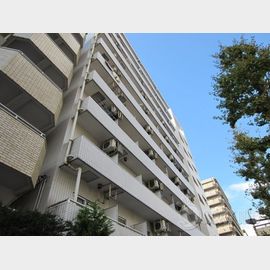 スカイコート川崎2の賃貸物件