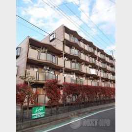 ドルフソニアドーロの賃貸物件