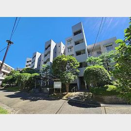 鷺沼駅より徒歩12分 5階 築55年8ヶ月の賃貸物件