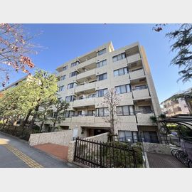 パレ二子玉川 1階 築43年2ヶ月の賃貸物件