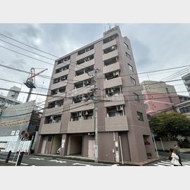 東白楽三和プラザ２ 7階 築33年6ヶ月の賃貸物件