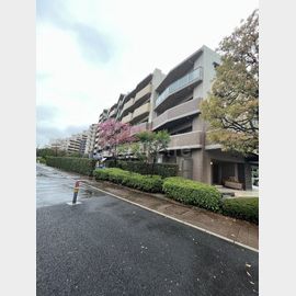 八丁畷駅より徒歩8分 1階 築15年10ヶ月の賃貸物件