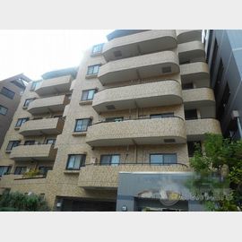 ラコスタ８川崎 8階 築29年5ヶ月の賃貸物件